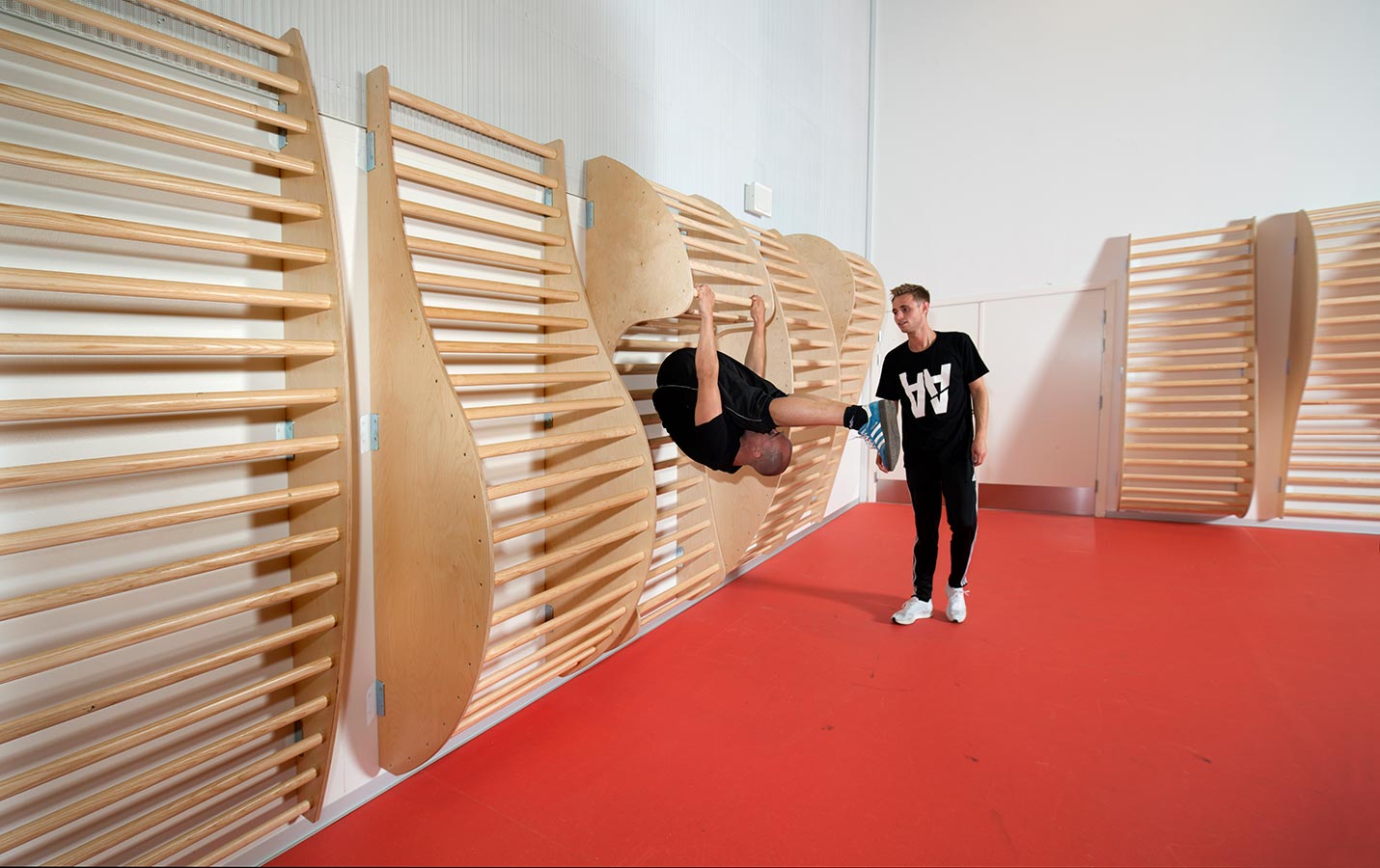 Organiske ribber monteret i idrætshal